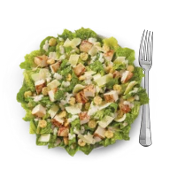 wendys caeser salad with healthy ingredients