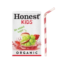 Honest Kids Fruit Punch 